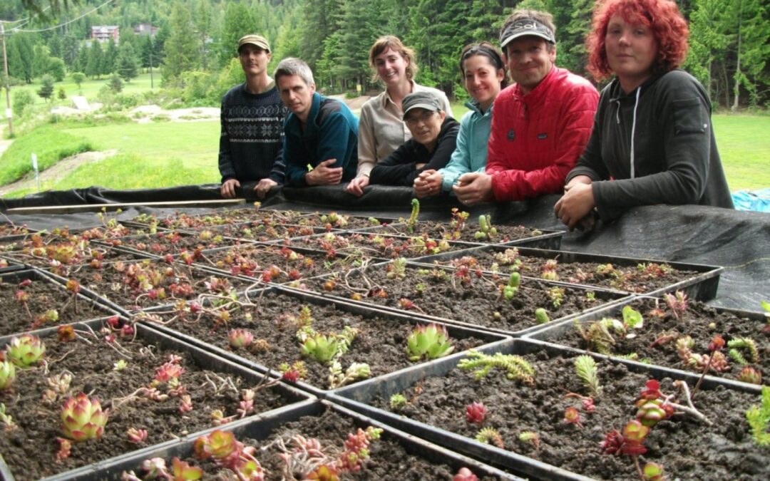 Vegetated Roof System Workshop June 16, 2012